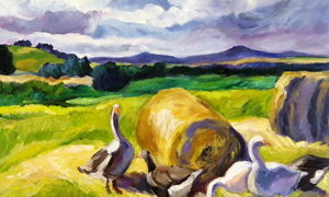 Get Creative - Gansbaai Weekly Inspiration